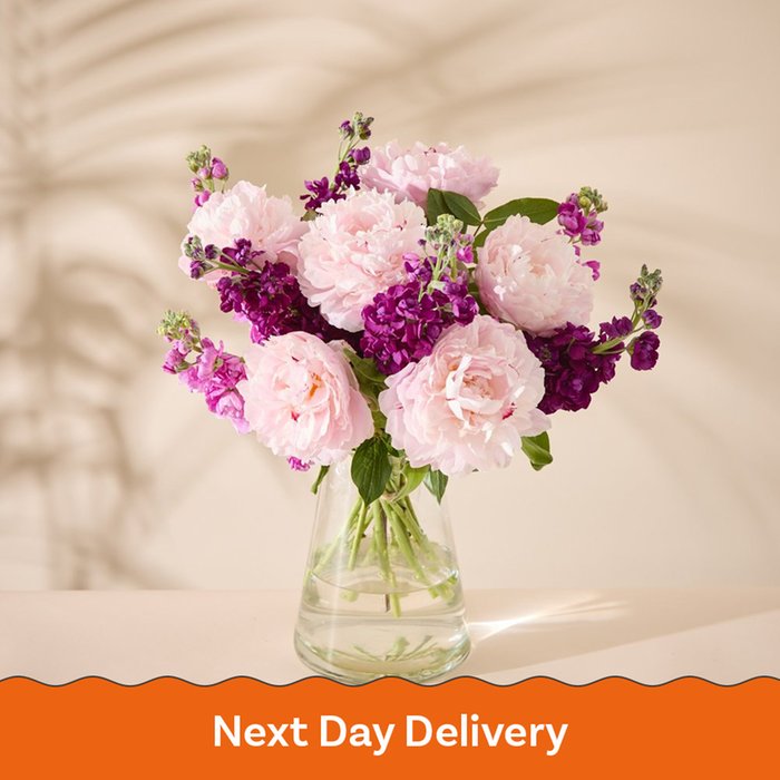 The Mixed Stock Peonies