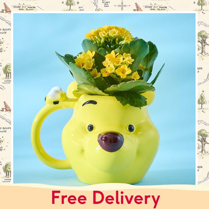 Disney's Winnie the Pooh Mug with Kalanchoe Plant