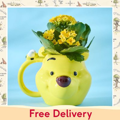 Disney's Winnie the Pooh Mug with Kalanchoe Plant