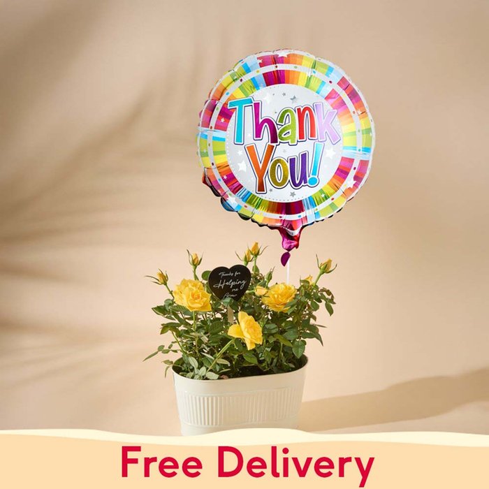Yellow Rose Plant & Thank You Balloon Gift Set