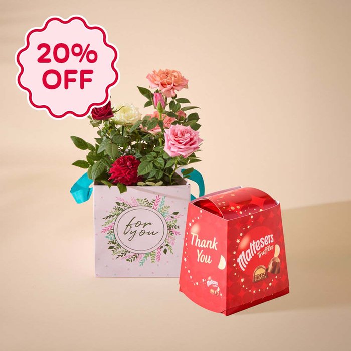Tri Colour Rose and Thank You Maltesers Gift Set