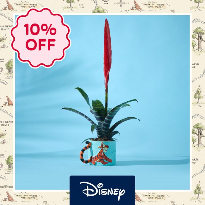 Disney's Tigger Mug with Vriesea Plant