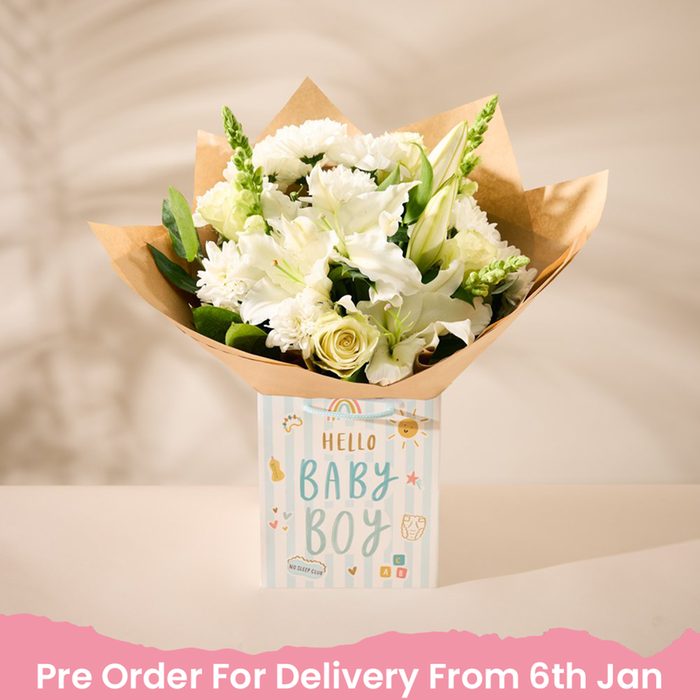 Baby Boy Gift Bag with Bouquet