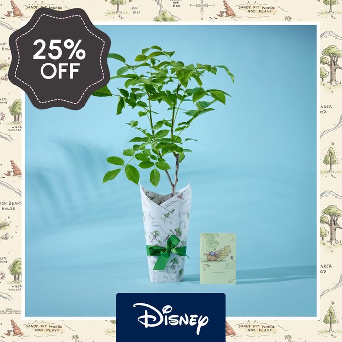 Disney's Winnie Walnut Tree