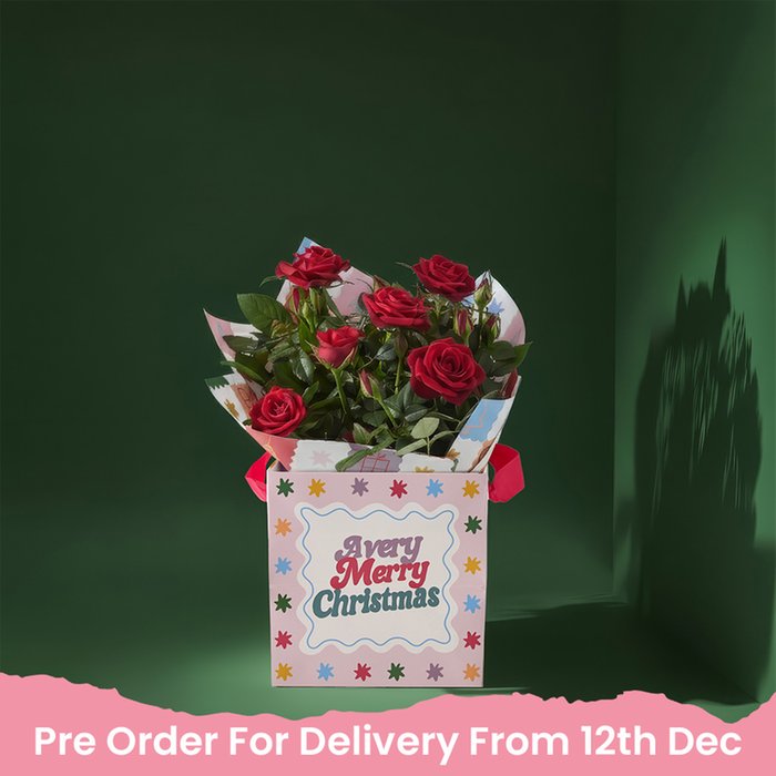 Merry Christmas Rose Plant & Gift Bag