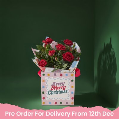 Merry Christmas Rose Plant & Gift Bag