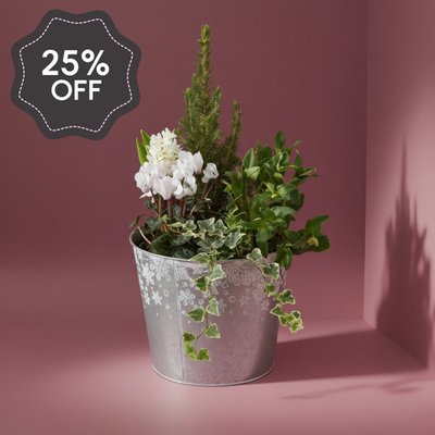 Large Outdoor Planter