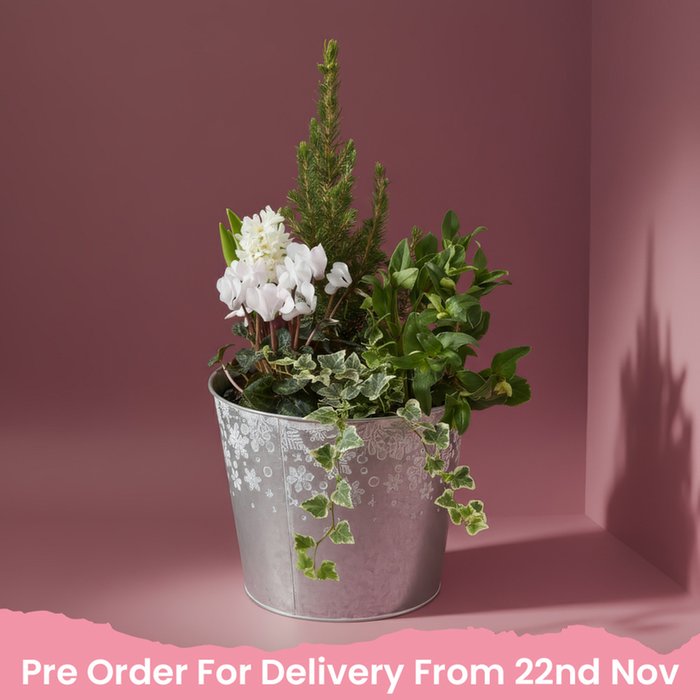 Large Outdoor Planter