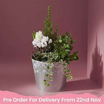 Large Outdoor Planter