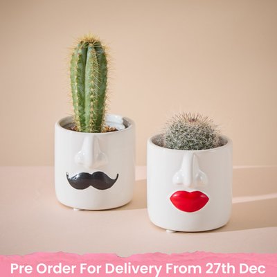 Mr and Mrs Cactus Pots