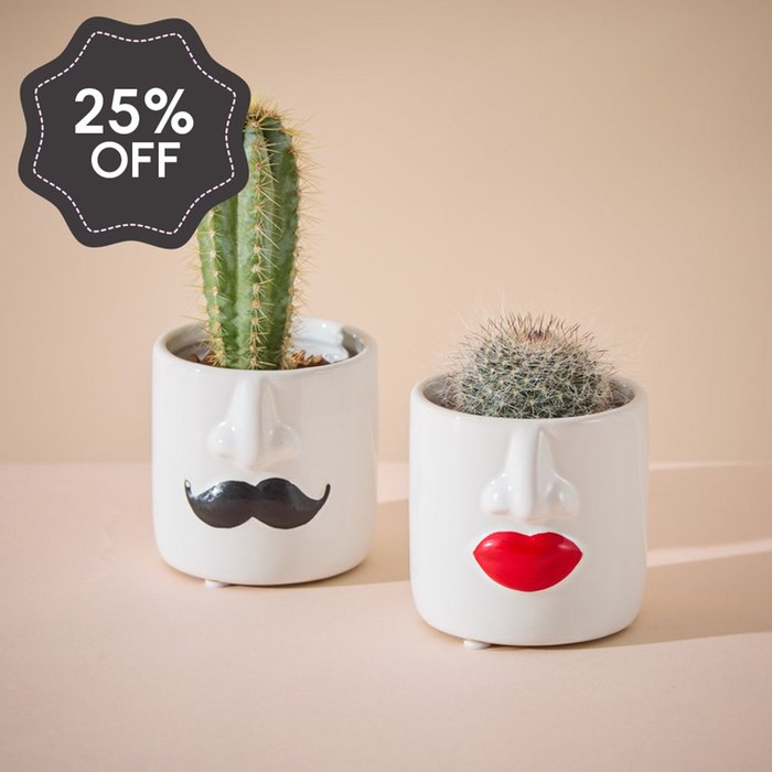 Mr and Mrs Cactus Pots