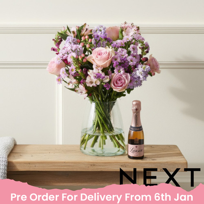 NEXT Rose & Stock Bouquet with Lanson 20cl Rosé Gift Set