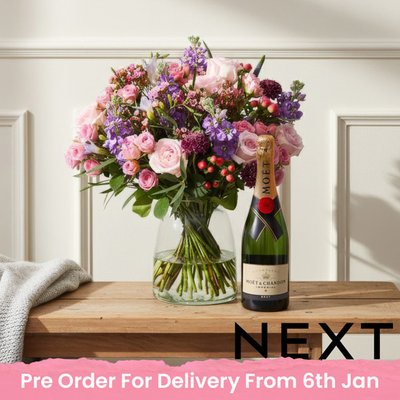 NEXT Rose and Lilac Stocks Bouquet with Moët Champagne Gift Set