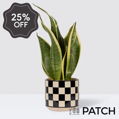 PATCH Susie in Chess Black Pot