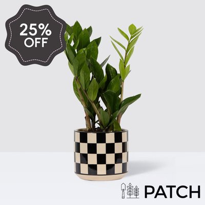 PATCH Cassie in Chess Black Pot