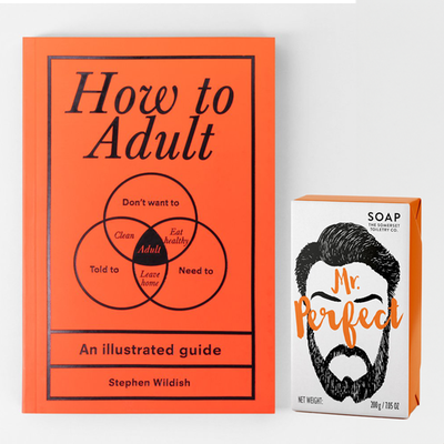 How to Adult Handbook & Mr Perfect Soap