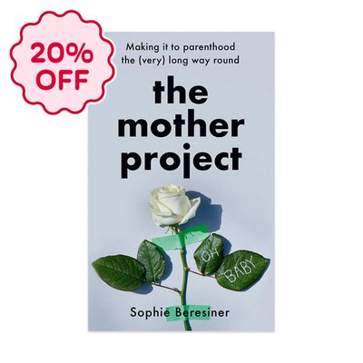 The Mother Project: Making It to Parenthood Book