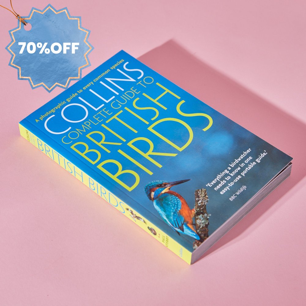 Moonpig Collins Guide To British Birds Book