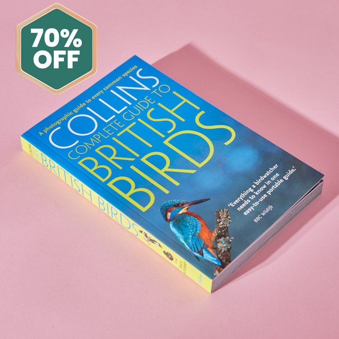 Collins Guide to British Birds Book
