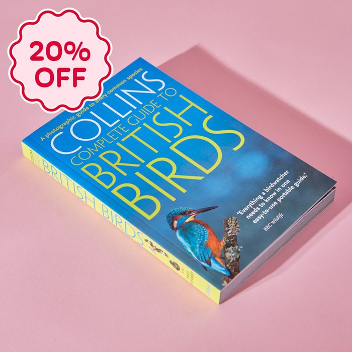 Collins Guide to British Birds Book