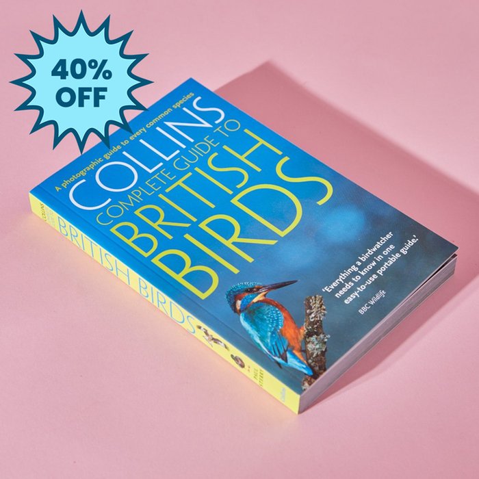 Collins Guide to British Birds Book