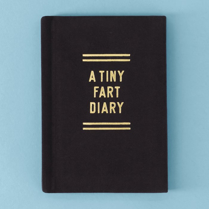 A Tiny Fart Diary