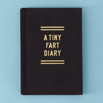A Tiny Fart Diary