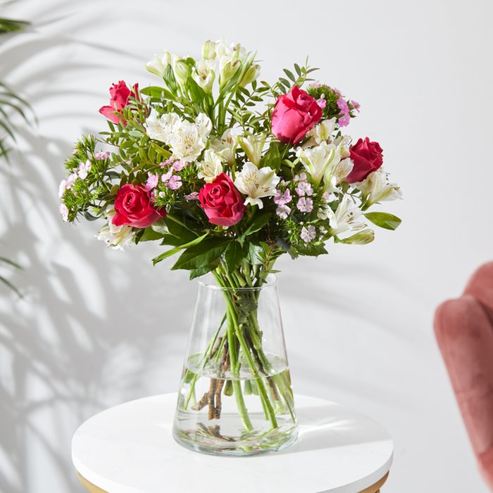 The Serene Blooms