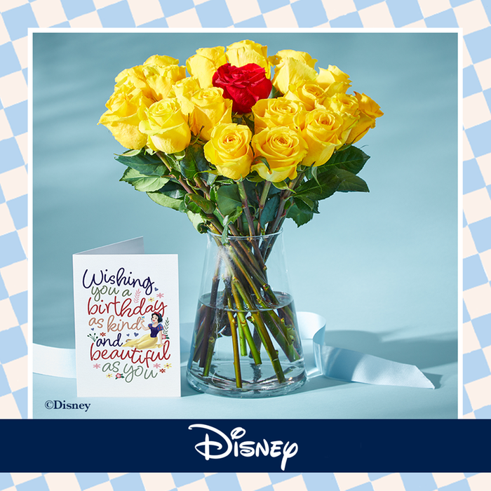 Disney’s Snow White 20 Mixed Roses