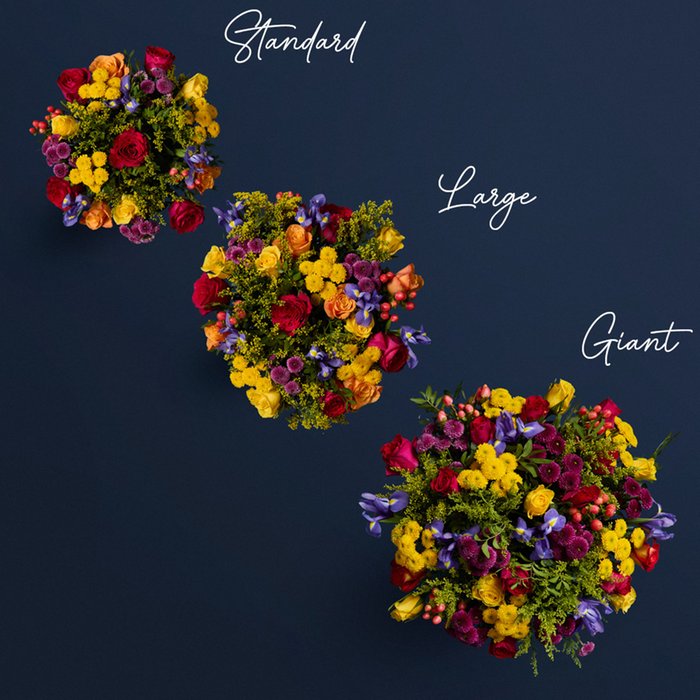 The Celebration of Colour Bouquet
