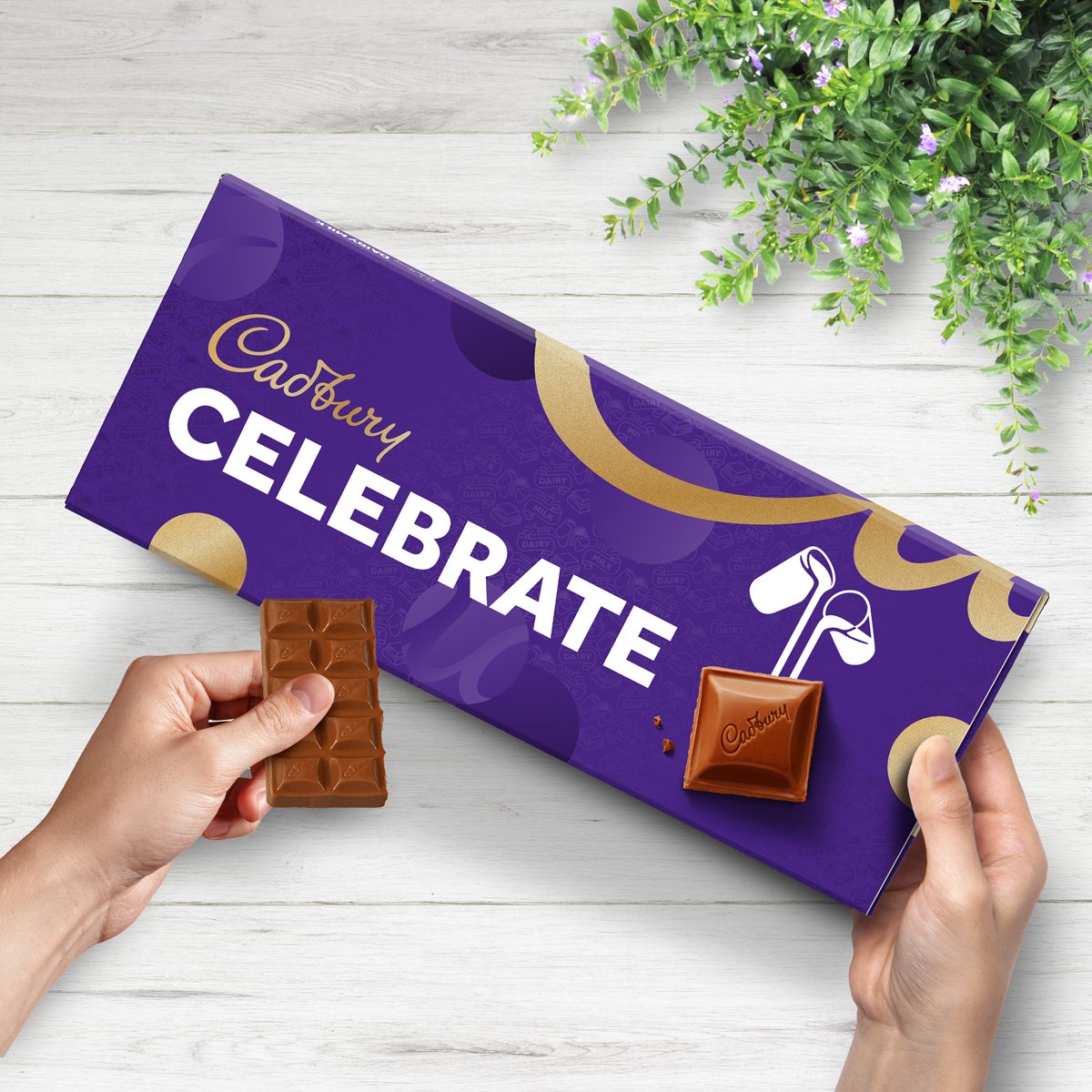 Cadbury Dairy Milk Celebrate Bar (850G) Chocolates