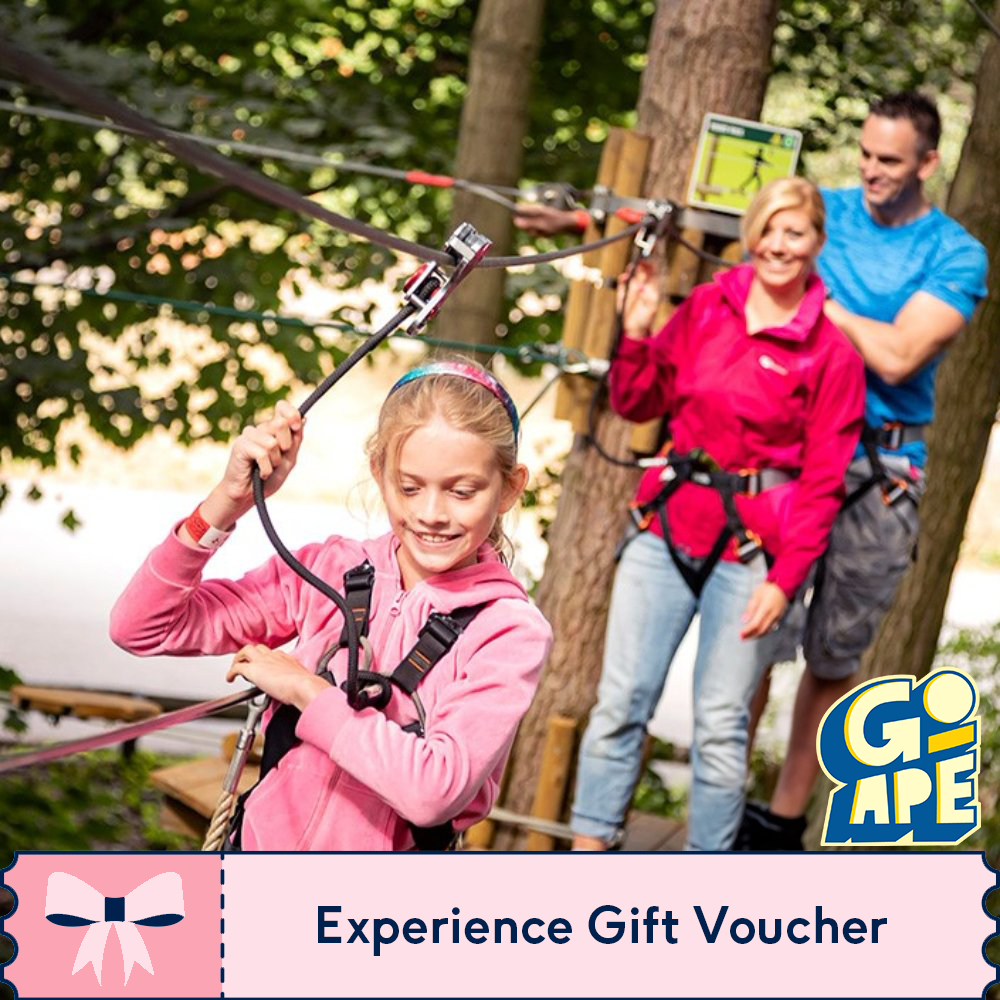 Buyagift Go Ape Treetop Adventure For Two