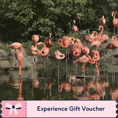 Entry to Whipsnade Zoo for Two Adults