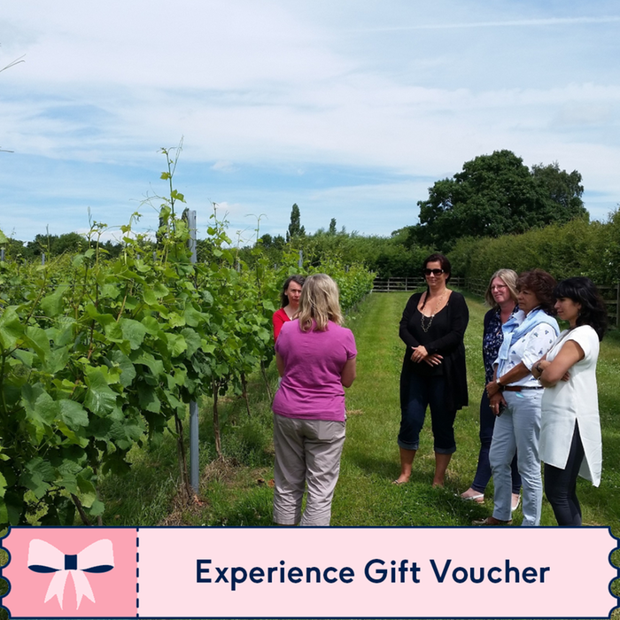 Vineyard Tour and Tasting with Lunch or Afternoon Tea for Two