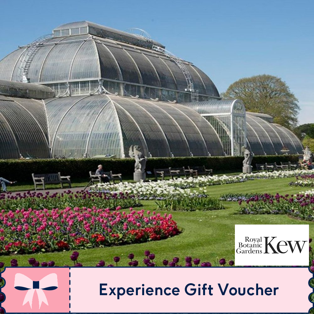 Buyagift Family Visit To Kew Gardens And Palace For Two Adults And Two Children