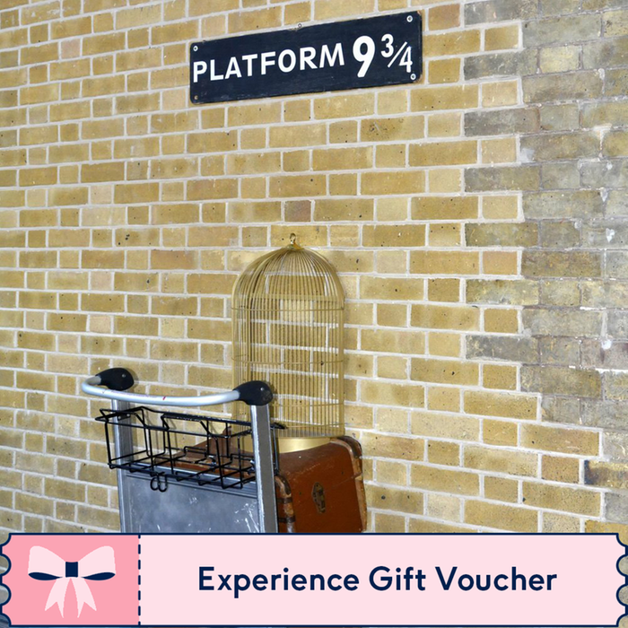 Harry Potter Walking Tour of London for Two