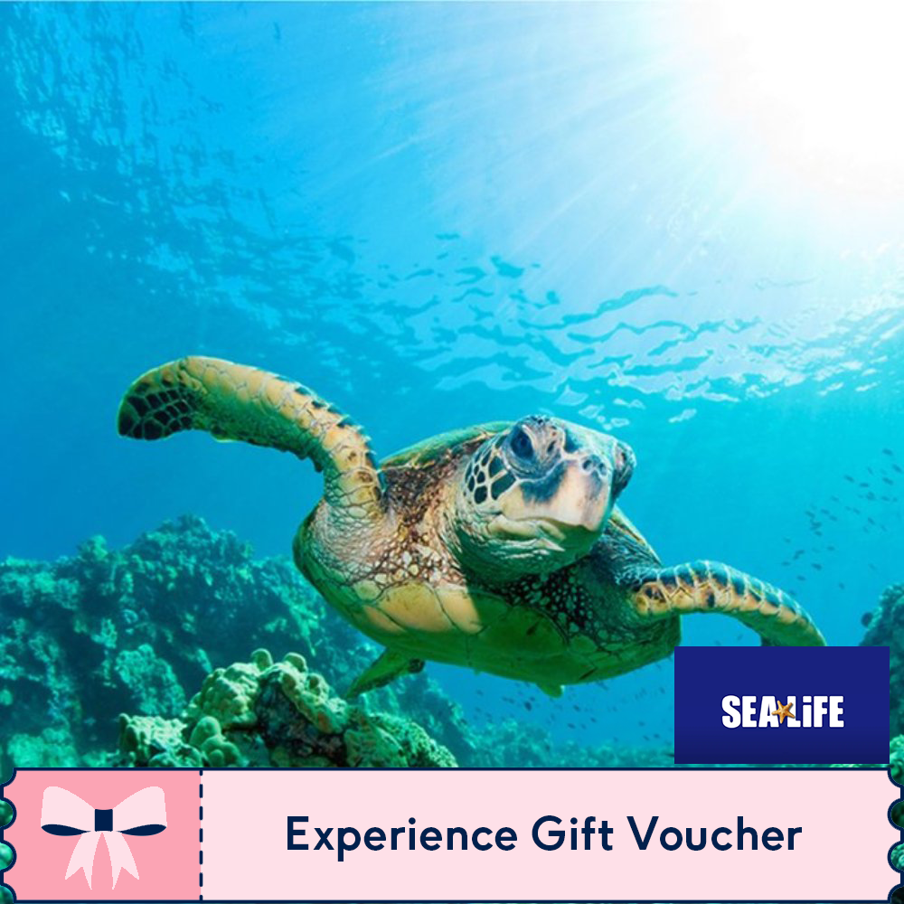 Buyagift Sea Life Entry Tickets For Two
