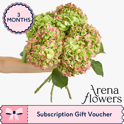 Three-Month Luxury Flower Subscription from Arena Flowers