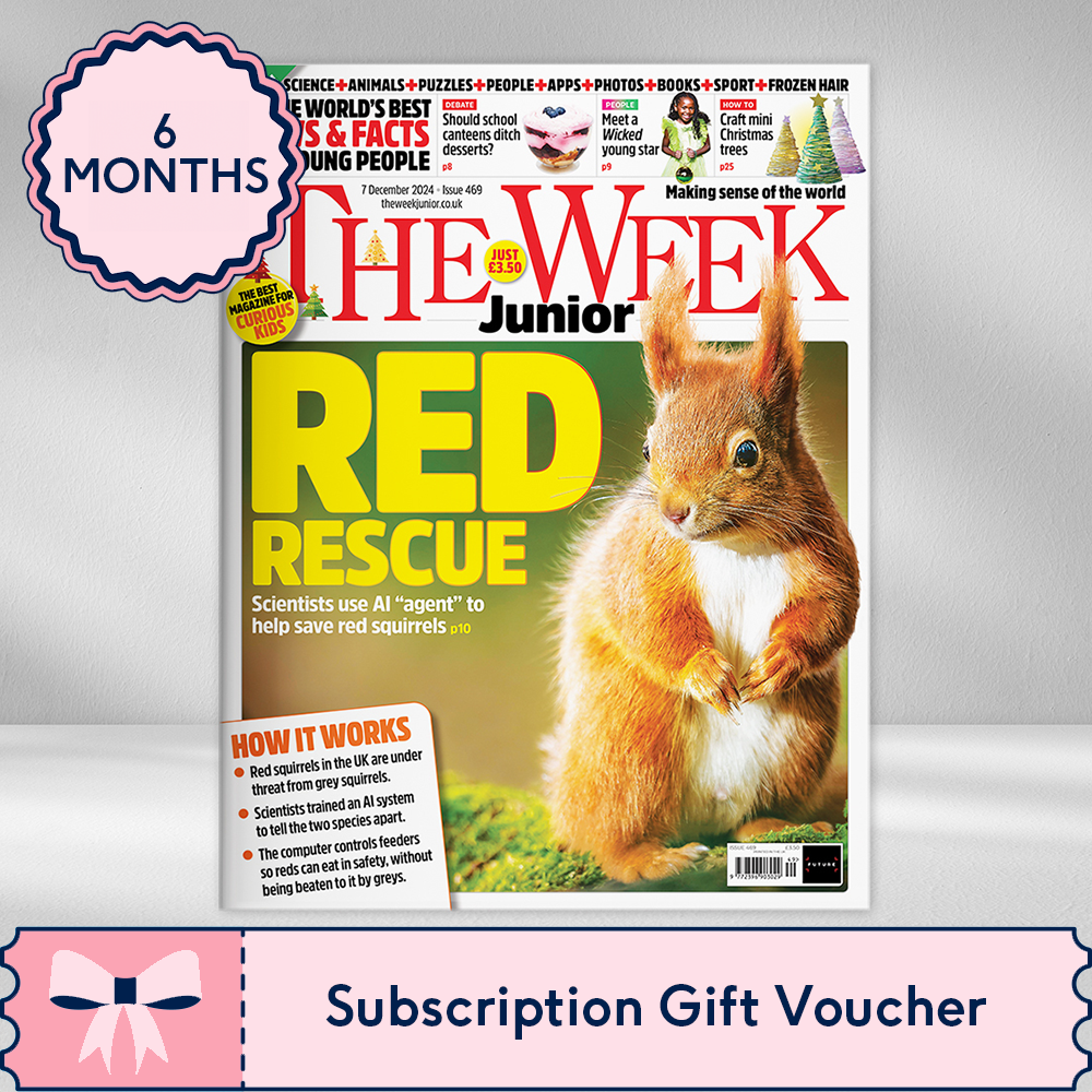 Buyagift Six Months Of The Week Junior Magazine