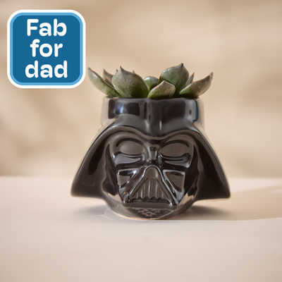 Disney's Darth Vader Mug with New Black Echeveria Plant