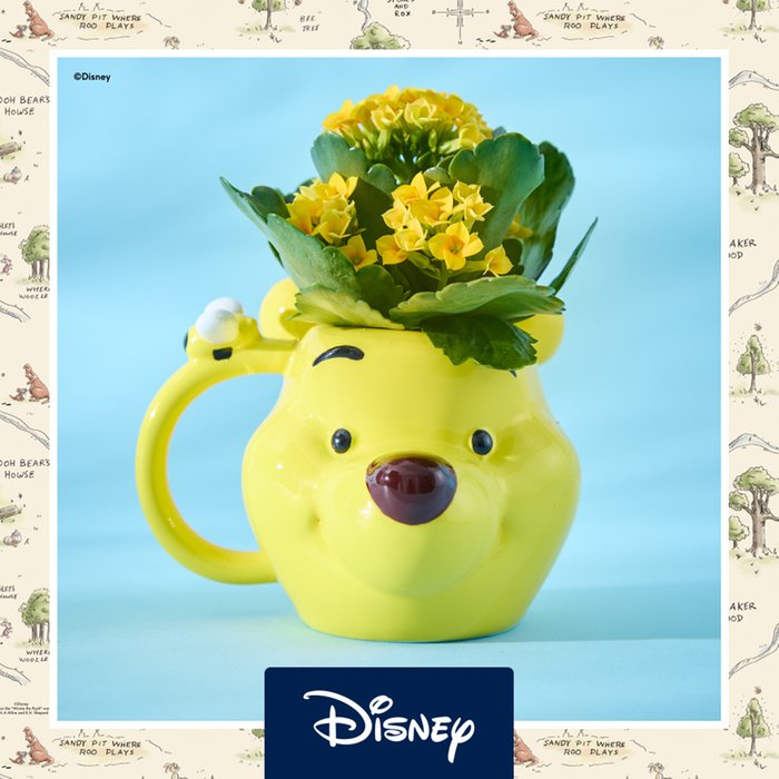 Disney's Winnie the Pooh Mug with Kalanchoe Plant