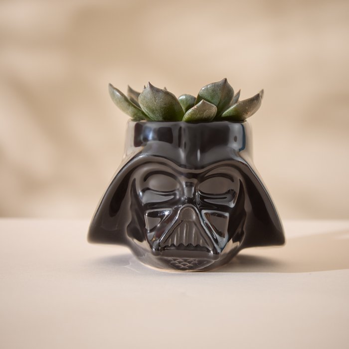 Disney's Darth Vader Mug with New Black Echeveria Plant