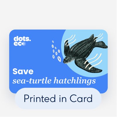 Dots.eco - Save Sea Turtle Hatchlings UK £10 Digital Gift Card