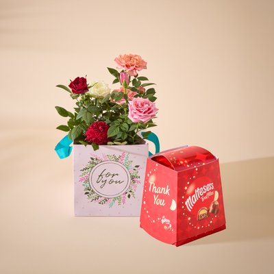 Tri Colour Rose and Thank You Maltesers Gift Set
