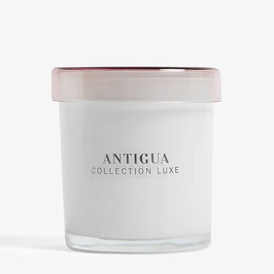 NEXT White Collection Luxe Antigua Mango and Papaya Single Wick Scented Candle