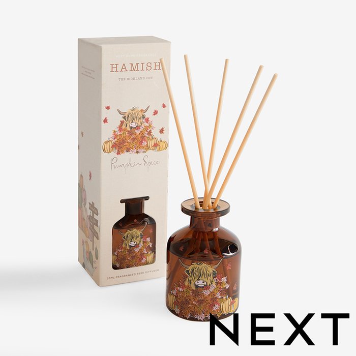 NEXT Pumpkin Spice Autumn Hamish 70ml Reed Diffuser