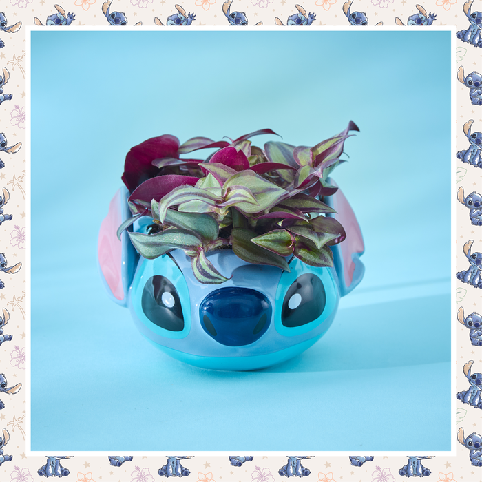 Disney's Stitch Mug with Tradescantia Pink Plant
