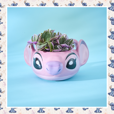 Disney's Angel Mug with Kalanchoe Plant