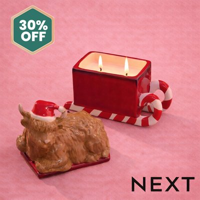 NEXT Novelty Hamish Candle 
