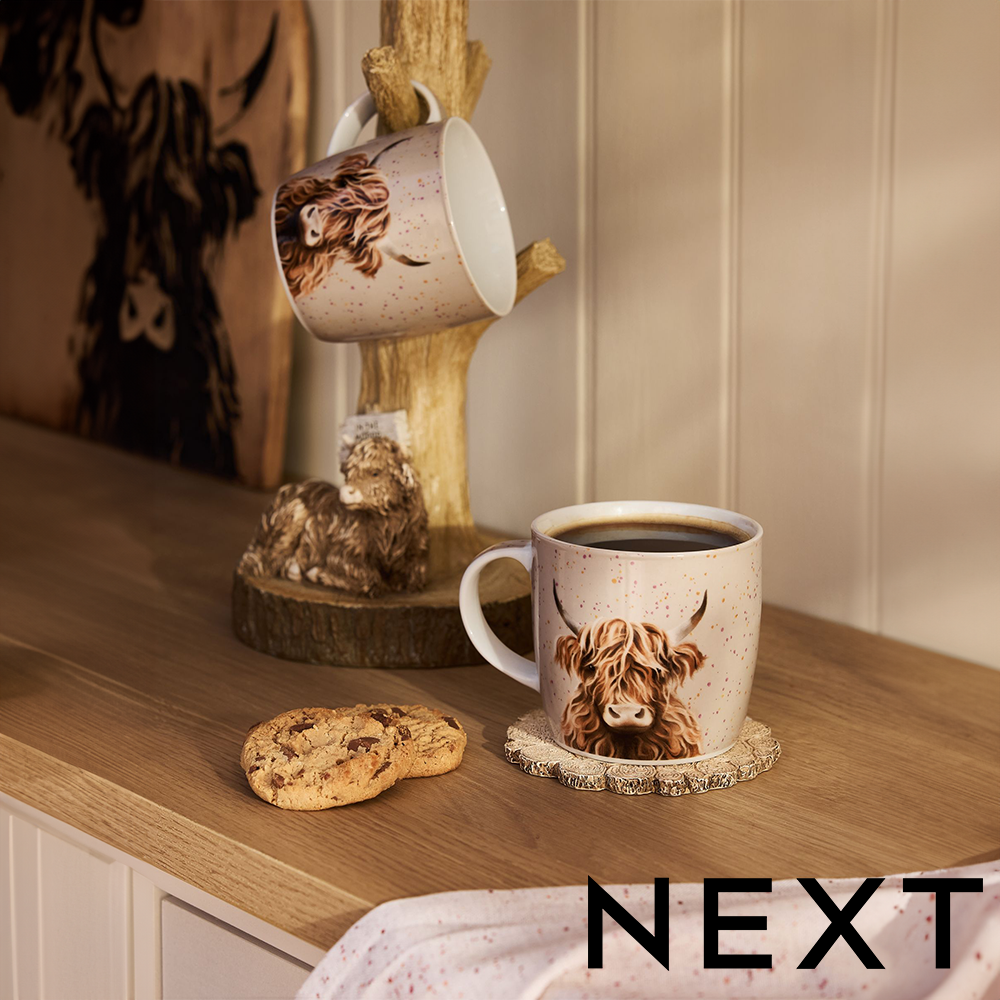 Next Home Next Set Of 2 Hamish The Cow Mugs